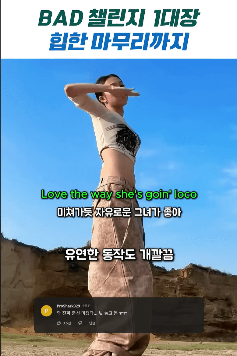 챌린지/밈